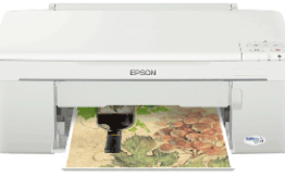 Chuyên mực máy in Epson ME320 tận nơi