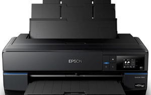 Chuyên mực máy in Epson P800 tận nơi
