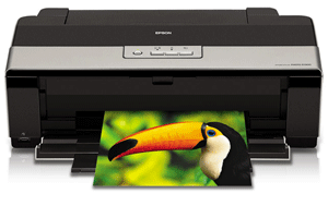 Chuyên mực máy in Epson R1900 tận nơi